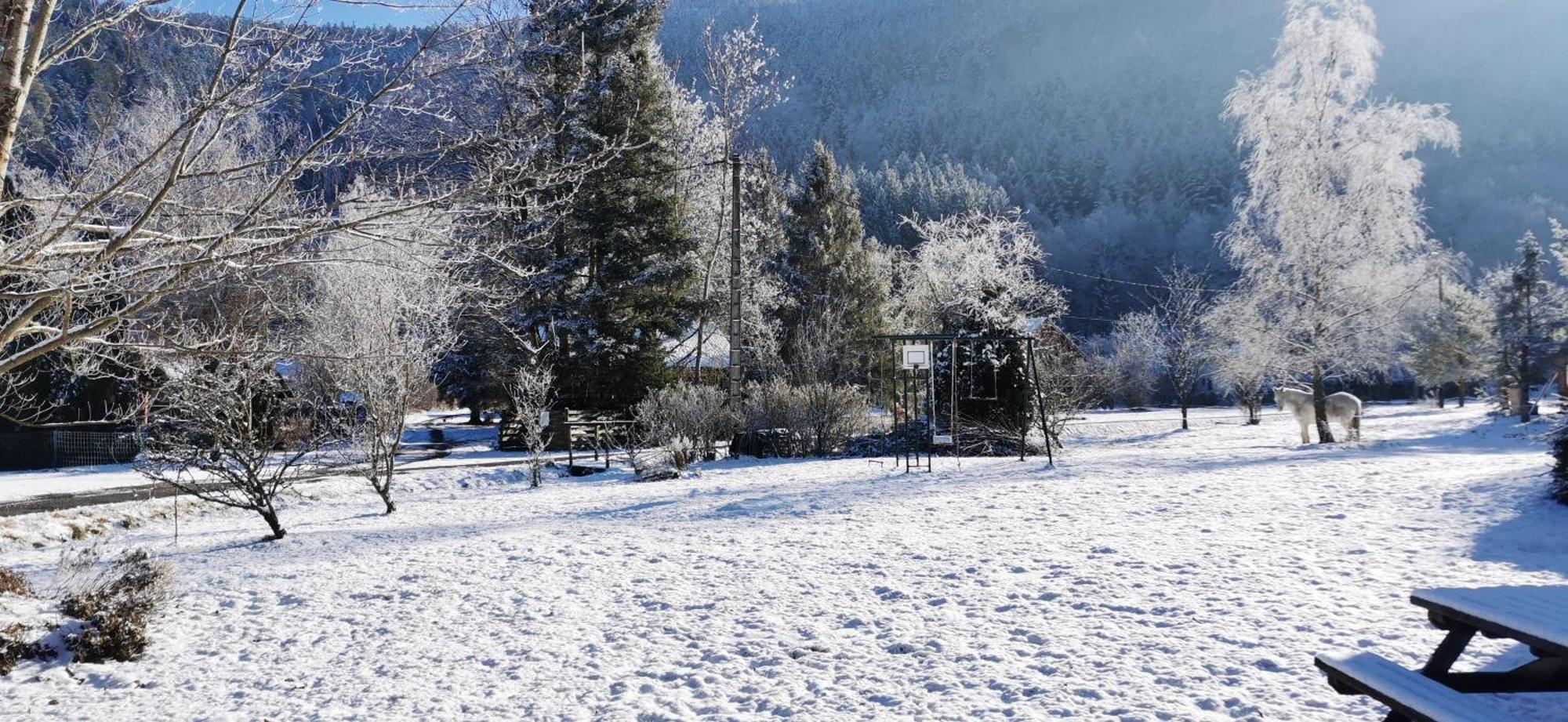 Gite Le Clos Des Vosges Ban-sur-Meurthe-Clefcy Экстерьер фото