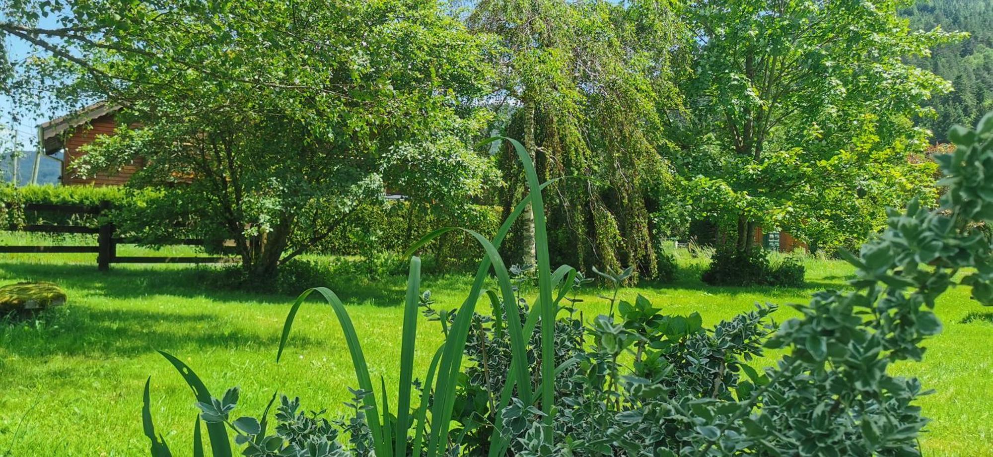 Gite Le Clos Des Vosges Ban-sur-Meurthe-Clefcy Экстерьер фото